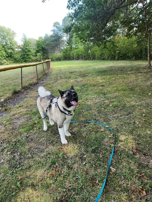 The Behavior Clinic; Animal Behavior of Northeast Ohio, LLC 12