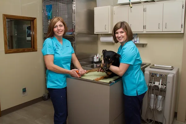 Sandstone Animal Hospital 12