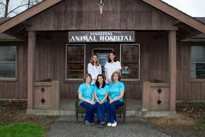 Sandstone Animal Hospital 12
