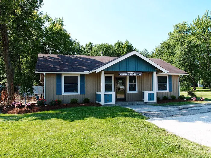 Sandstone Animal Hospital 12