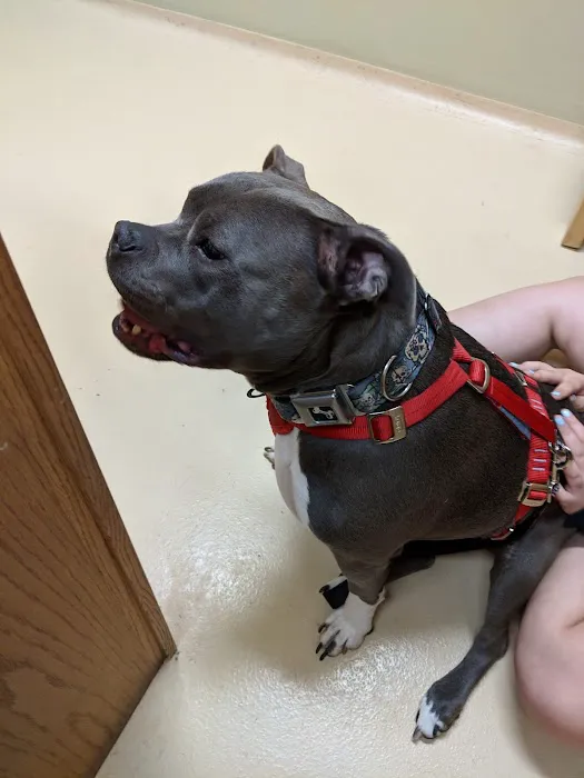 Center West Animal Hospital 12
