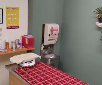 Center West Animal Hospital