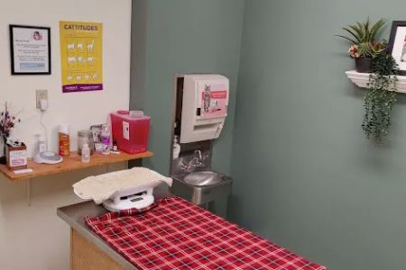 Center West Animal Hospital