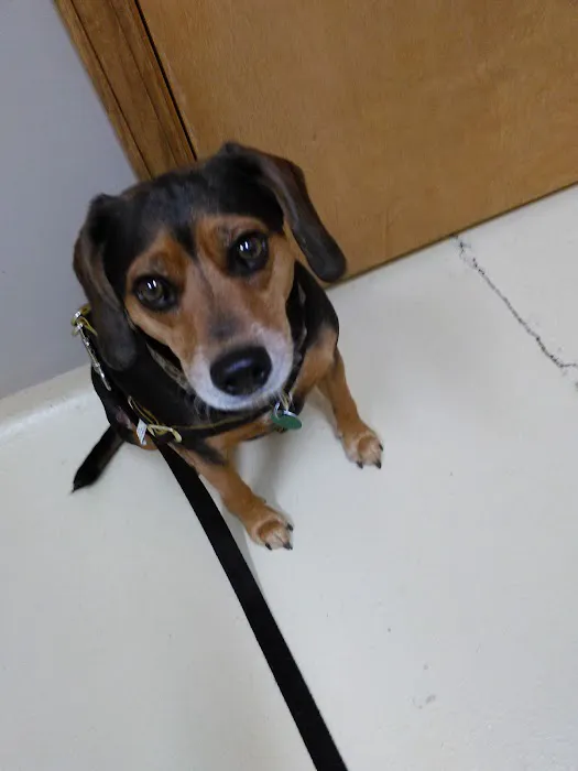 Center West Animal Hospital 12