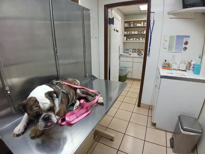 North Olmsted Animal Hospital 12