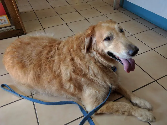 North Olmsted Animal Hospital 12
