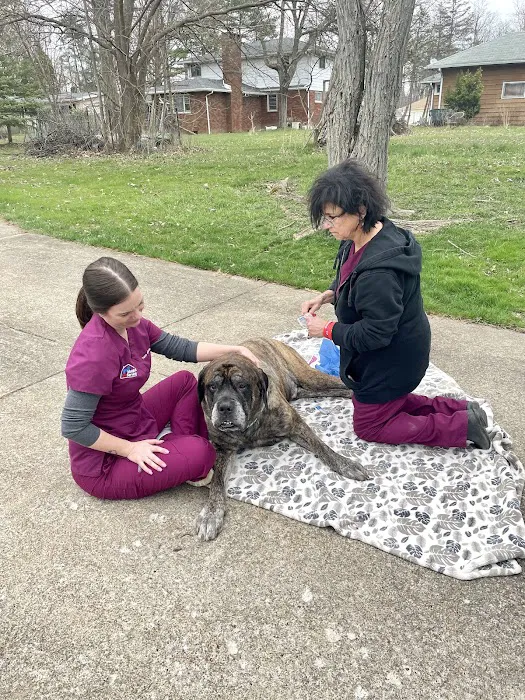 Mobile Vet Services 1