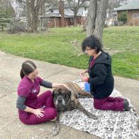 Mobile Vet Services ico