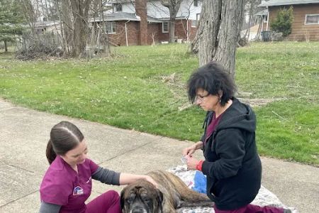 Mobile Vet Services