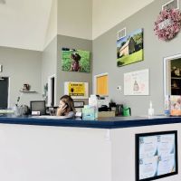 Animal Wellness of Strongsville ico