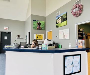 Animal Wellness of Strongsville
