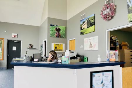 Animal Wellness of Strongsville