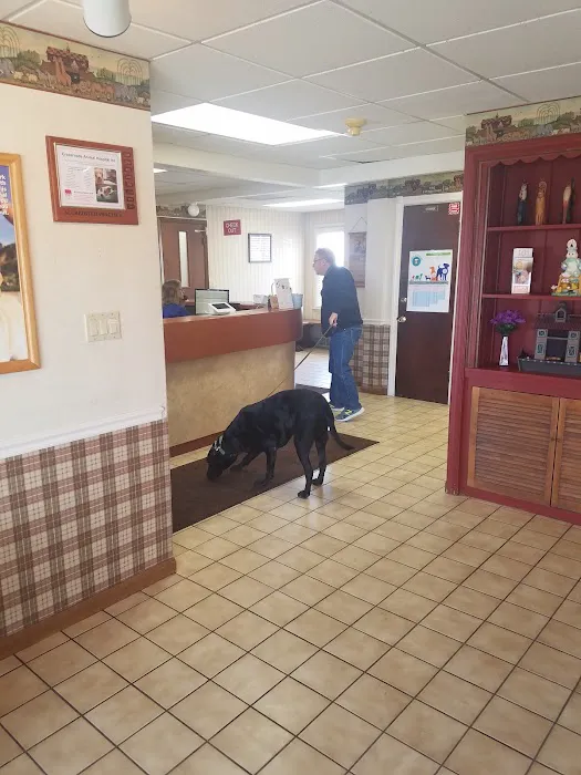 Crossroads Animal Hospital 9