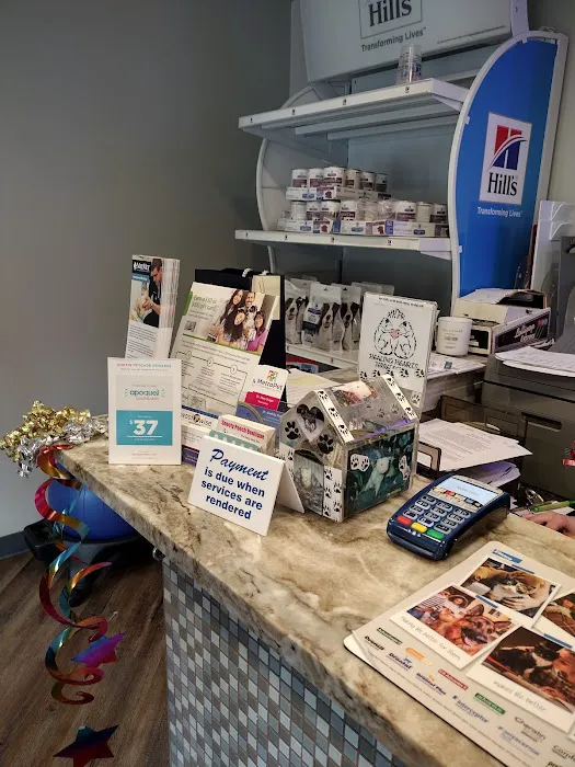 MetroPet Veterinary Clinic 12