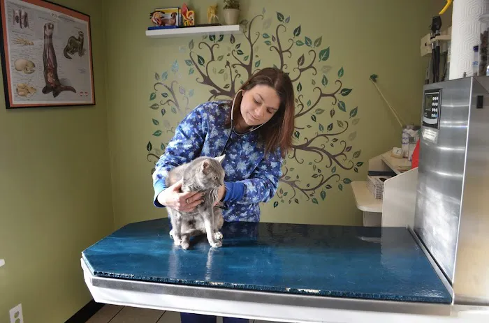 MetroPet Veterinary Clinic 12