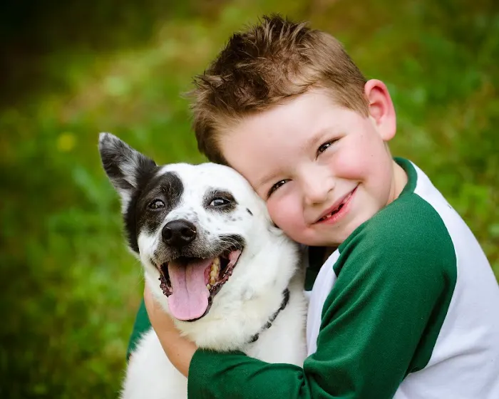 Rolling Hills Animal Hospital 4