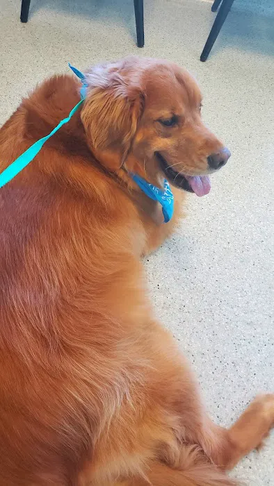 Bay Village Animal Clinic 12