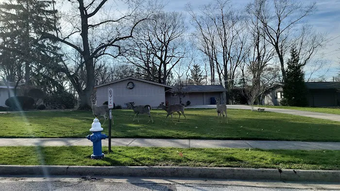 Bay Village Animal Clinic 12