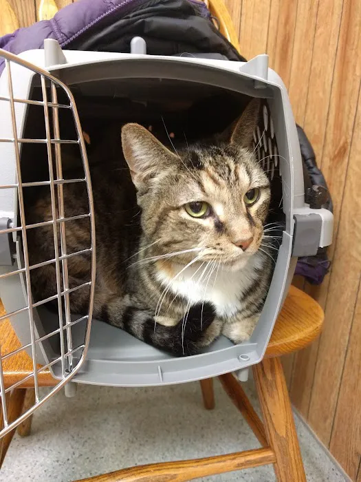 Bay Village Animal Clinic 12