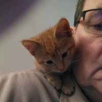 Bay Village Animal Clinic ico