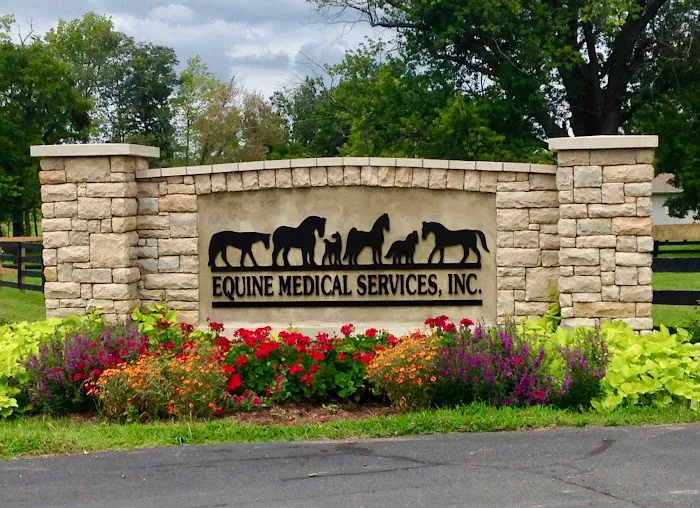 Equine Medical Services 5