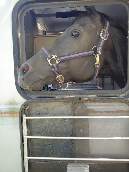 Equine Medical Services 1