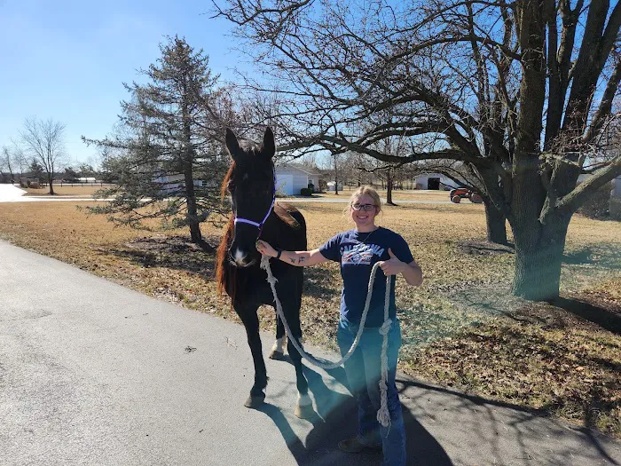 Equine Medical Services 3