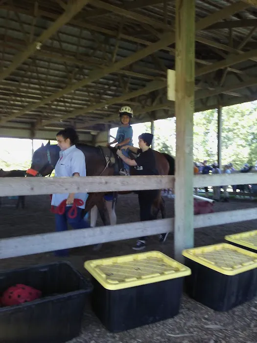 Equine Medical Services 2