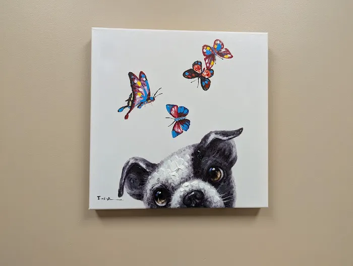 Horton Animal Hospital-Discovery 8