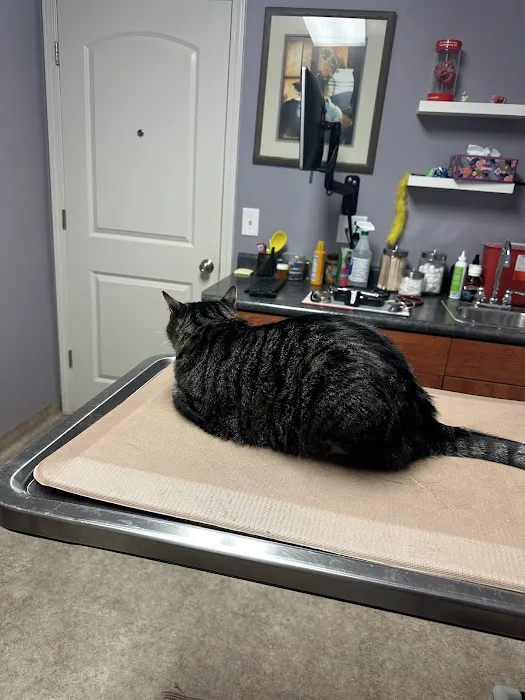 Rock Bridge Animal Hospital 4