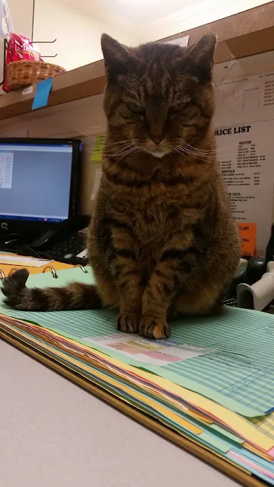 Peach Tree Animal Hospital 6