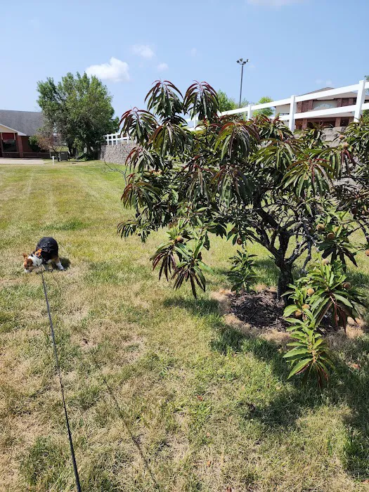 Peach Tree Animal Hospital 4