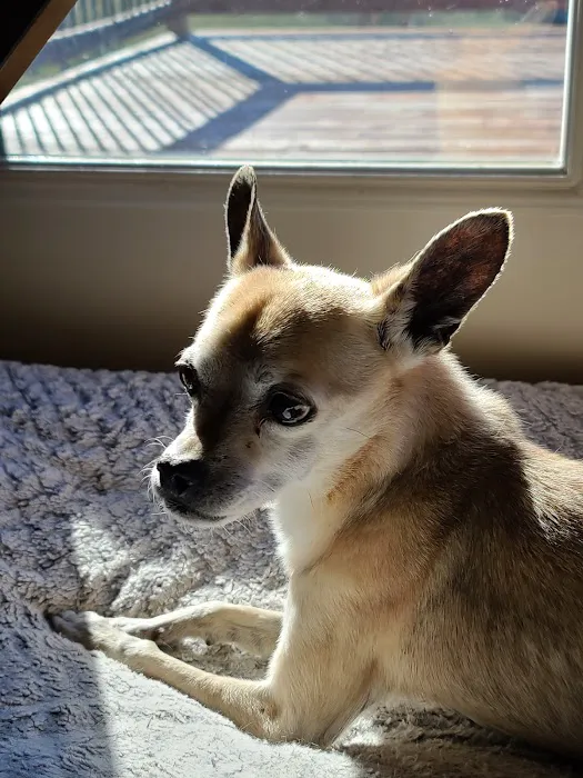 Rolling Hills Veterinary Hospital 9