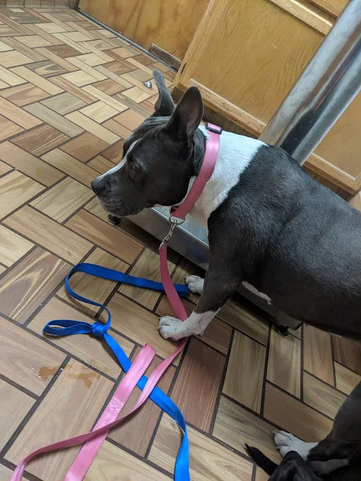Rolling Hills Veterinary Hospital 10