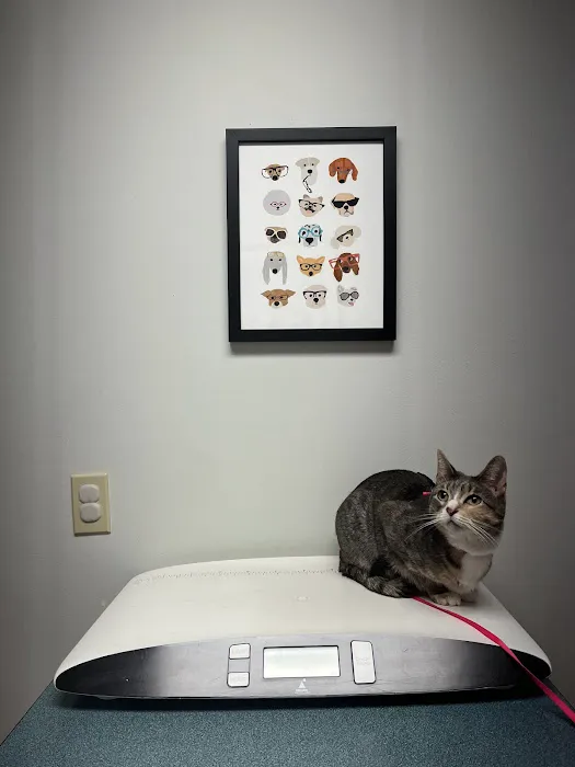 Rolling Hills Veterinary Hospital 4