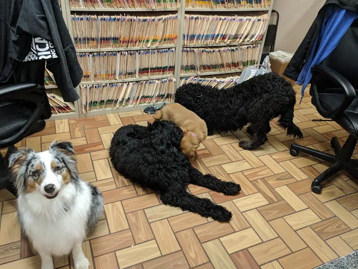 Rolling Hills Veterinary Hospital 7