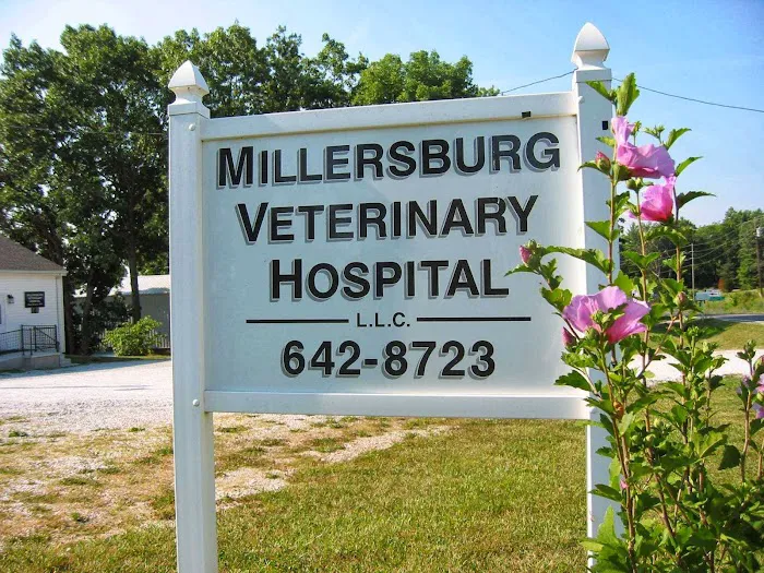 Millersburg Veterinary Hospital 3