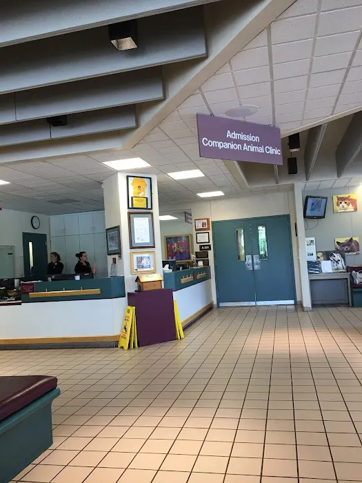 Companion Animal Clinic 2
