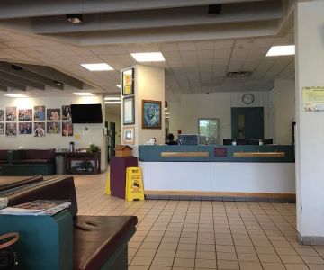 Companion Animal Clinic