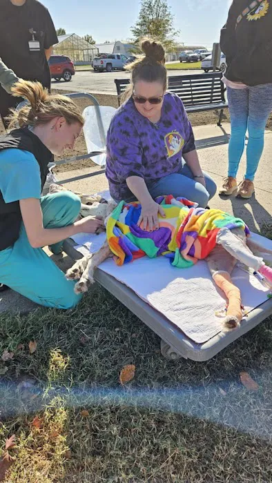 Mizzou Small Animal Hospital 1