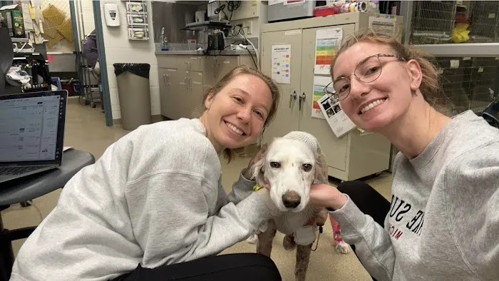 Mizzou Small Animal Hospital 2