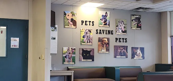 Veterinary Medical Teaching Hospital-Univ Of Missouri 3