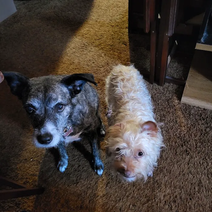 Quad Counties Veterinary Clinic 5