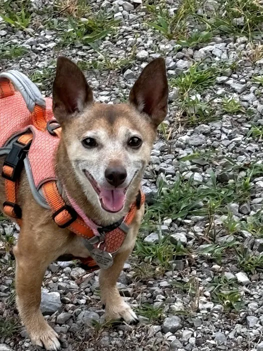 Quad Counties Veterinary Clinic 6