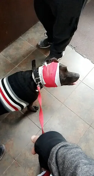 Quad Counties Veterinary Clinic 9