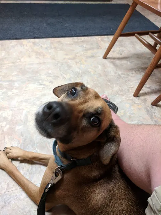 Nashville Animal Clinic 1