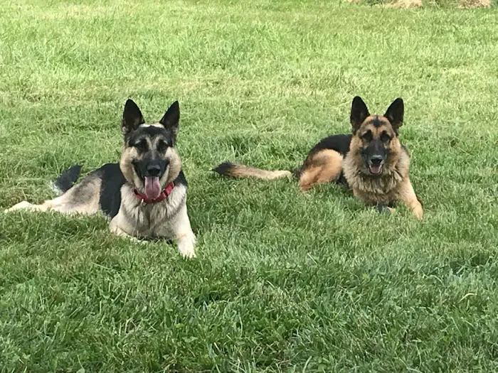 Nashville Animal Clinic 5