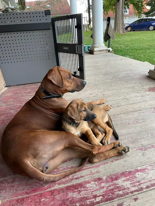 Nashville Animal Clinic 10