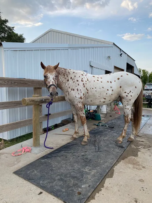 Nashville Animal Clinic 8