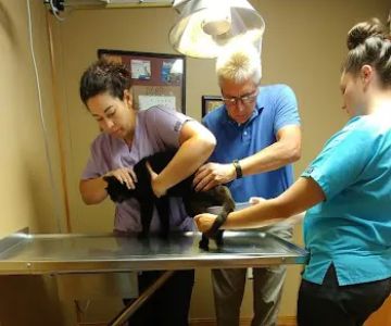 Macoupin Veterinary Services